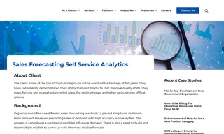Preview of the Client Case Study