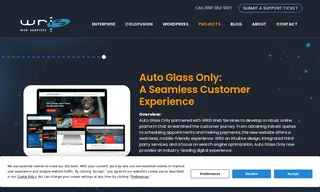 Preview of the AutoGlassOnly.com Case Study