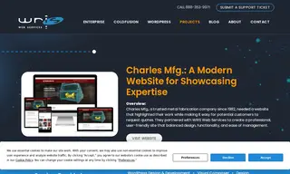 Preview of the Charles Mfg Case Study