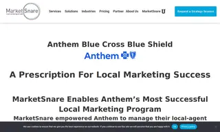Preview of the Anthem Blue Cross and Blue Shield Case Study