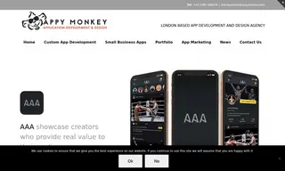 Preview of the AAA Case Study