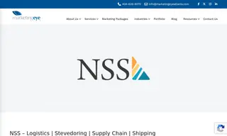 Preview of the NSS Case Study