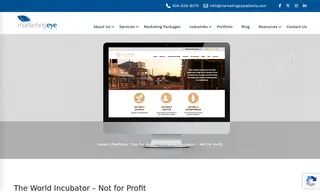Preview of the The World Incubator Case Study