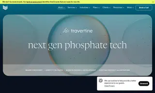 Preview of the Travertine Technologies Case Study