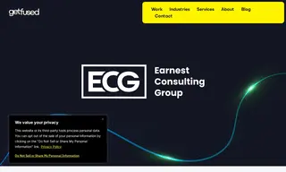 Preview of the Earnest Consulting Group Case Study