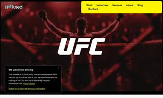 Preview of the Ultimate Fighting Championship Case Study