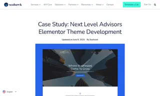 Preview of the Next Level Advisors Case Study