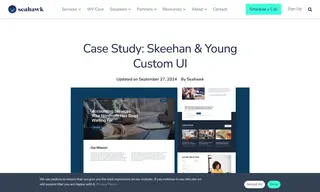 Preview of the Skeehan & Young Case Study