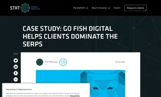 Preview of the Go Fish Digital Case Study