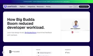 Preview of the Big Budda Boom Case Study