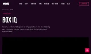Preview of the BoxIQ Case Study