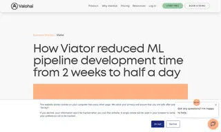 Preview of the Viator Case Study