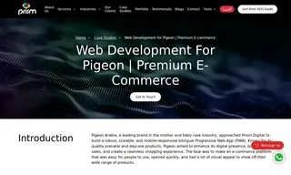 Preview of the Pigeon Arabia Case Study