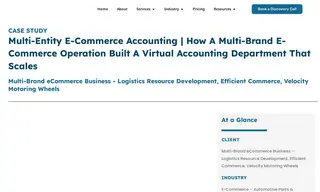Preview of the Multi-Brand E-commerce Business (three LLCs) Case Study