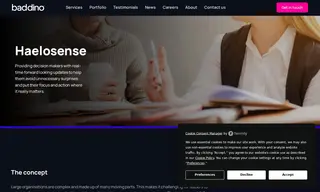 Preview of the Haelo Consulting Case Study