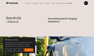 Preview of the Iberdrola Case Study
