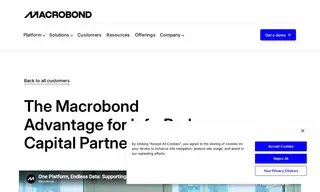 Preview of the Infrared Capital Partners Case Study