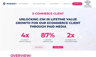 Preview of the Ecommerce Client Case Study