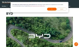 Preview of the BYD UK Case Study