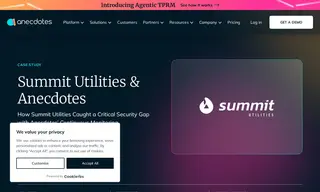 Preview of the Summit Utilities, Inc Case Study