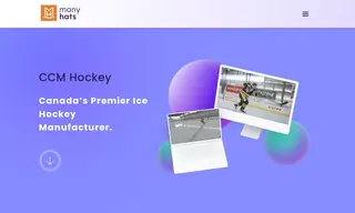 Preview of the CCM Case Study