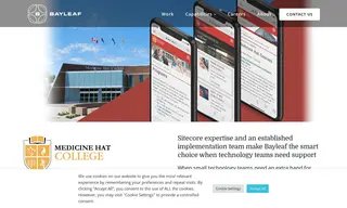 Preview of the Medicine Hat College Case Study