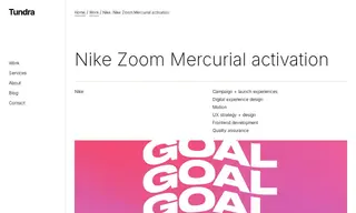 Preview of the Nike Case Study