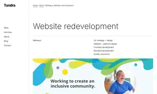 Preview of the Wellways Case Study