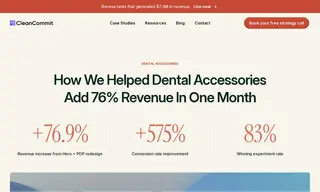 Preview of the Dental Accessories Case Study