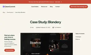 Preview of the Blondery Case Study