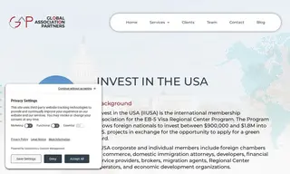 Preview of the Invest in the USA Case Study