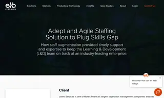 Preview of the Lewis Services Case Study