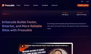 Preview of the Britecode Case Study