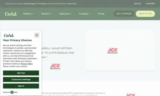 Preview of the Ace Hardware Case Study