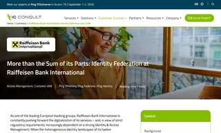 Preview of the Raiffeisen Bank International Case Study