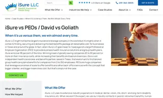 Preview of the Georgia Based Client (with Offices in Texas) Case Study
