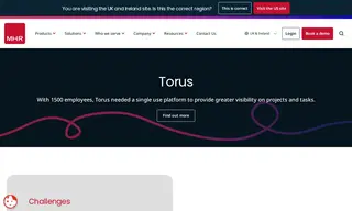 Preview of the Torus Case Study