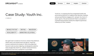Preview of the Youth INC Case Study