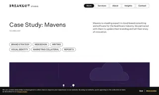 Preview of the Mavens Case Study