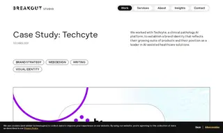 Preview of the Techcyte Case Study