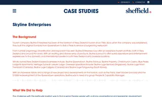 Preview of the Skyline Enterprises Case Study