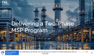 Preview of the Global Petrochemicals Manufacturer Case Study