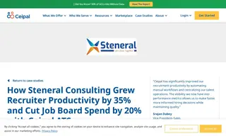 Preview of the Steneral Consulting Case Study