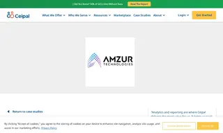 Preview of the Amzur Technologies Case Study