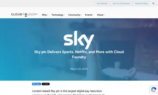Preview of the Sky plc Case Study
