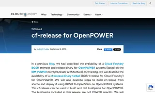 Preview of the IBM Case Study