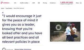 Preview of the Some Other Solutions Case Study