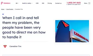 Preview of the Canadian Tire Case Study