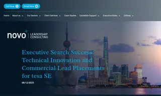 Preview of the Tesa SE Case Study