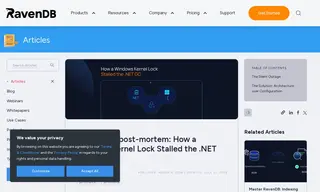Preview of the RavenDB Cluster Hosted on Azure Case Study